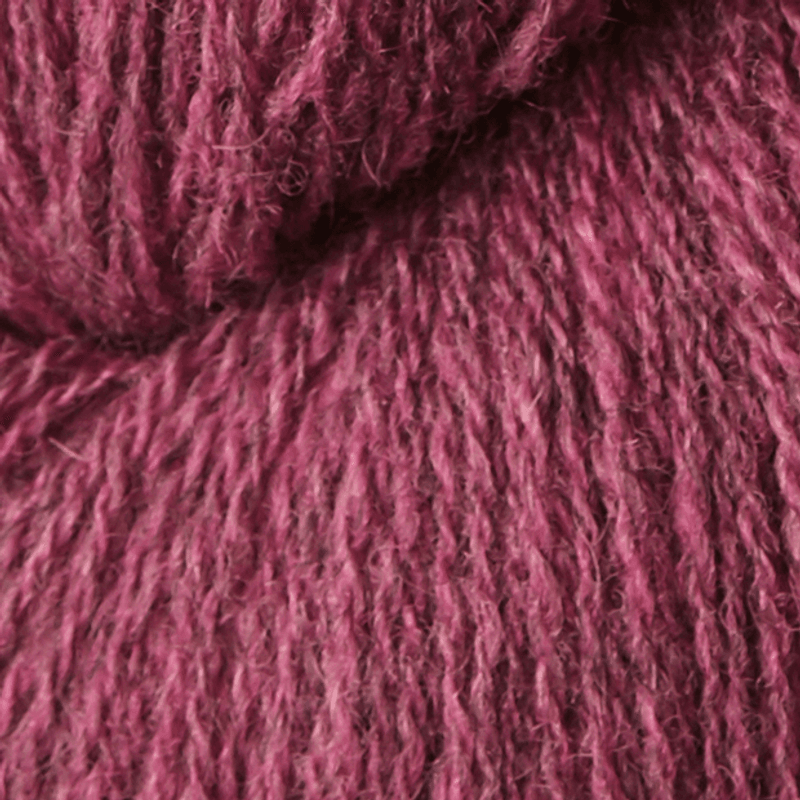 Isager Tvinni (100g)