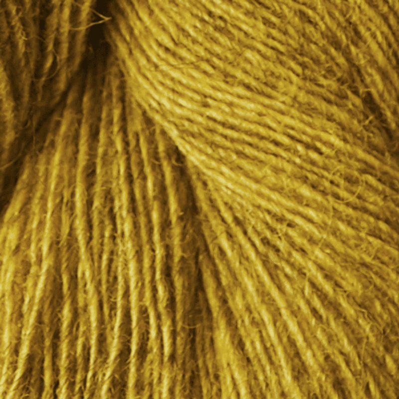 Isager Spinni (100g)